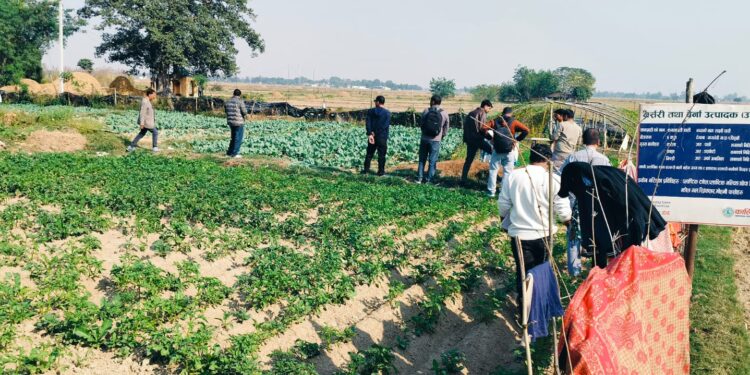 पोषण कार्यक्रम मार्फत स्वास्थ्य सुधारको प्रयास