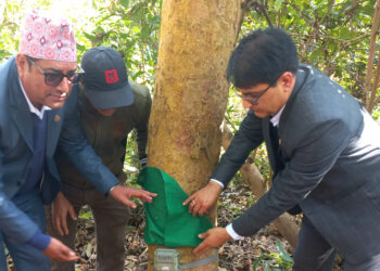 एघार सय अत्याधुनिक क्यामेराबाट बाघ गणना गरिँदै