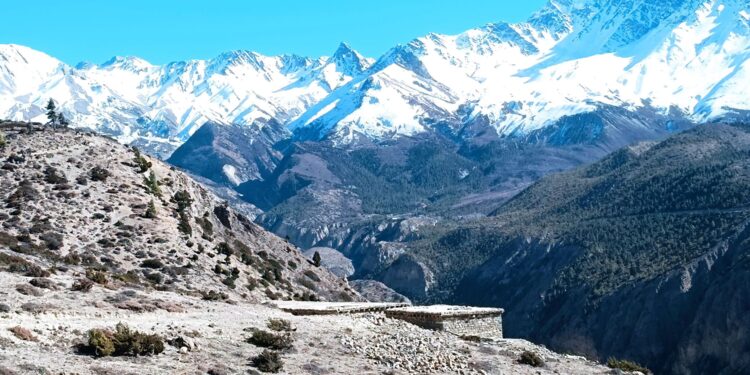 बाख्रा गोठ र आकर्षक तिलिचो हिमशृङ्खला