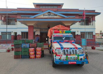 भन्सार छली भित्र्याइएका १७ लाखभन्दा बढी मूल्यका फलफूल र पिकअप बरामद