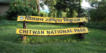 वन्यजन्तु संरक्षण गर्न कृत्रिम ताल निर्माण