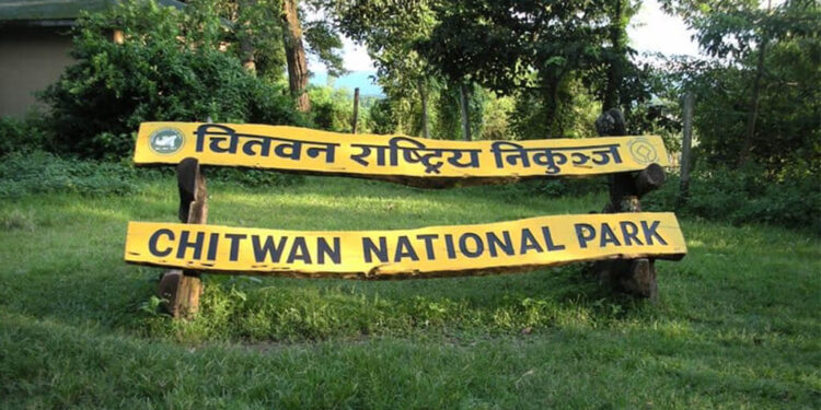 वन्यजन्तु संरक्षण गर्न कृत्रिम ताल निर्माण
