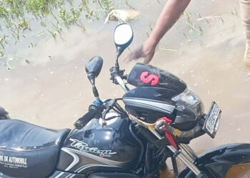 डिभाइडरमा मोटरसाइकल ठोक्किँदा भारतीय नागरिकको मृत्यु