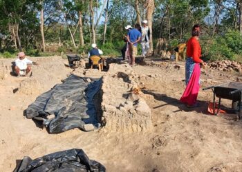 थारु राजा दंगीशरणको दरबार पुनः उत्खनन सुरु