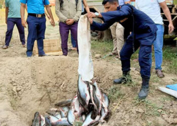 साढे दुई क्विन्टल अवैध माछा बरामद