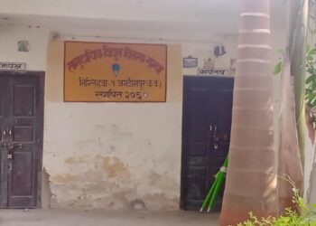 अनियमित विद्युत् आपूर्तिले जगदिशपुरको डेरी उद्योग संकटमा