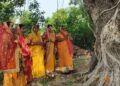 सामाजिक सद्भाव र एकताको प्रतीक बट सावित्री व्रत