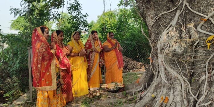 सामाजिक सद्भाव र एकताको प्रतीक बट सावित्री व्रत