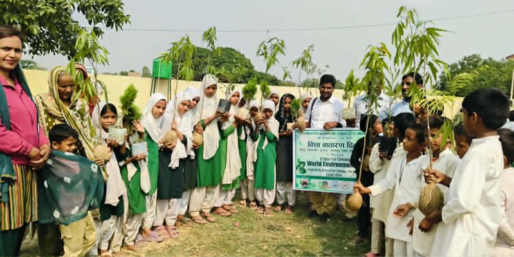 विश्व वातावरण दिवसको अवसरमा एक हजारभन्दा बढी बिरुवा रोपण