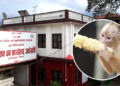 अर्घाखाँचीमा २० जना बाँदर हेरालाका लागि आवेदन आह्वान