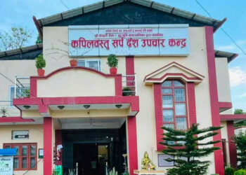वर्षायामसँगै कपिलवस्तुमा बढ्यो सर्पदंशको जोखिम
