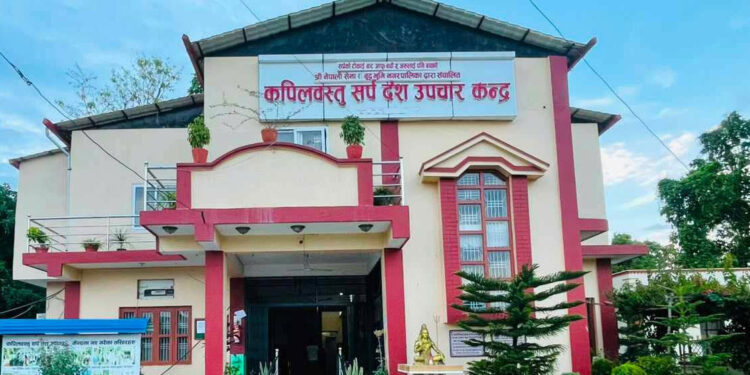 वर्षायामसँगै कपिलवस्तुमा बढ्यो सर्पदंशको जोखिम