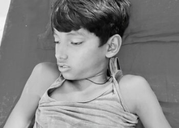 विषालु सर्पले टोक्दा बालकको मृत्यु
