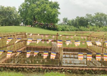 जोखिममा गोटिहवास्थित ऐतिहासिक अशोक स्तम्भ