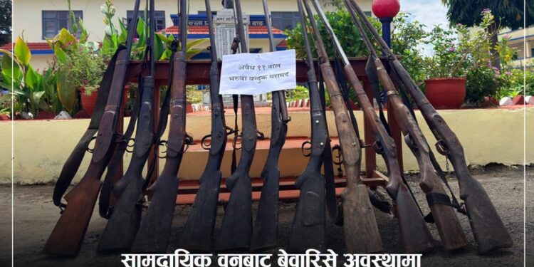 दाङका विभिन्न वन क्षेत्रबाट ११ थान भरुवा बन्दुक बरामद