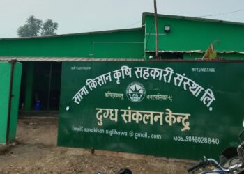 लागत साझेदारीमा बर्सिम र जई घाँसको बीउ वितरण गरिँदै