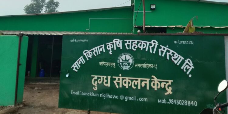 लागत साझेदारीमा बर्सिम र जई घाँसको बीउ वितरण गरिँदै