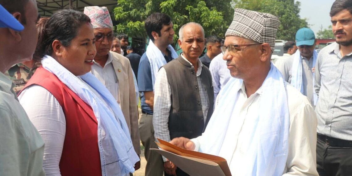 काठ आयात प्रतिस्थापन गर्ने सरकारको कार्य योजना