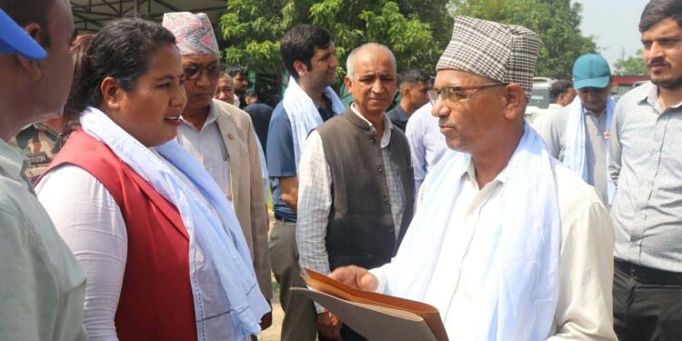 काठ आयात प्रतिस्थापन गर्ने सरकारको कार्य योजना